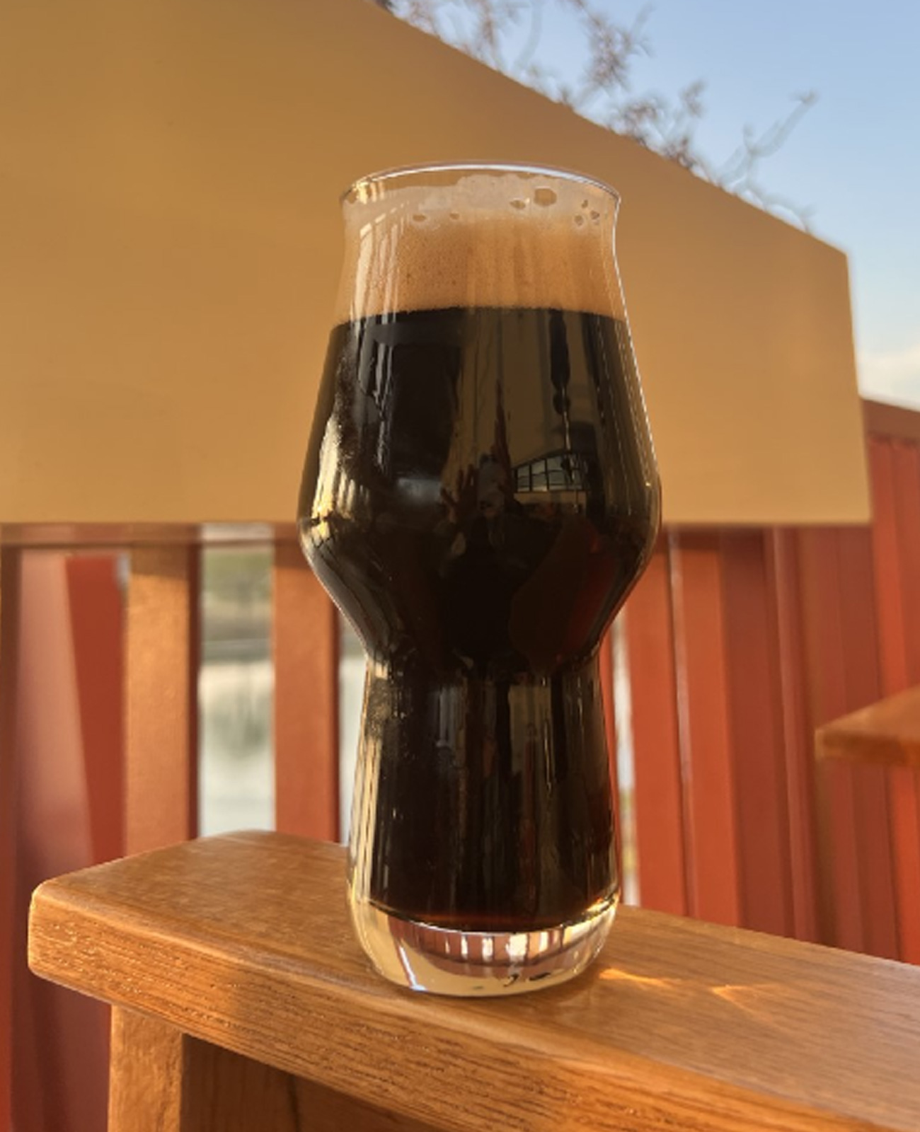 Bloomsday from our brewery in The Colony, TX